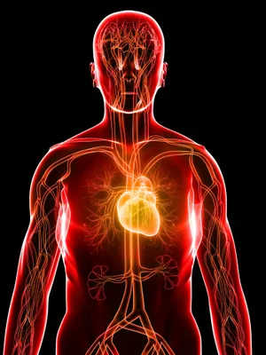 Congestive Heart Failure