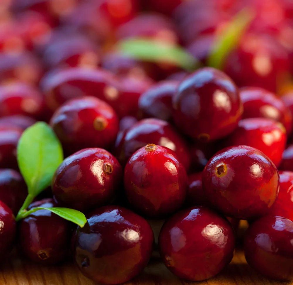 Bladder Infections Might Not Be Prevented by Cranberry Juice Study Says