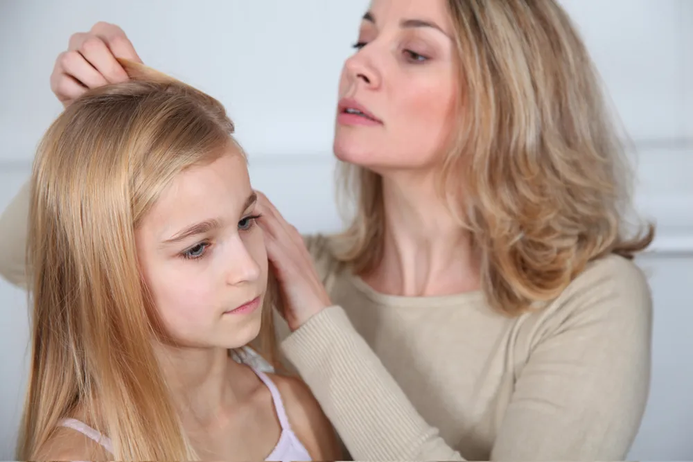 Head Lice Outbreaks Start In Autumn