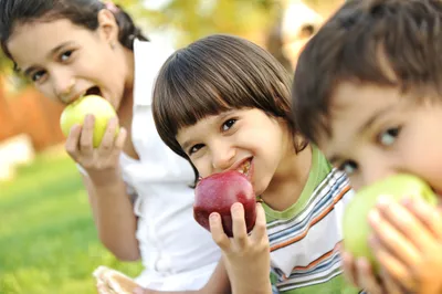 Children eating apples