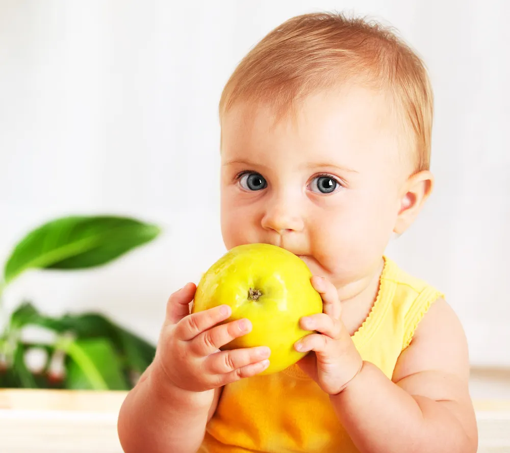 Diet Tips to Support Healthy Brain Function in Children