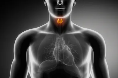 Thyroid Disorders