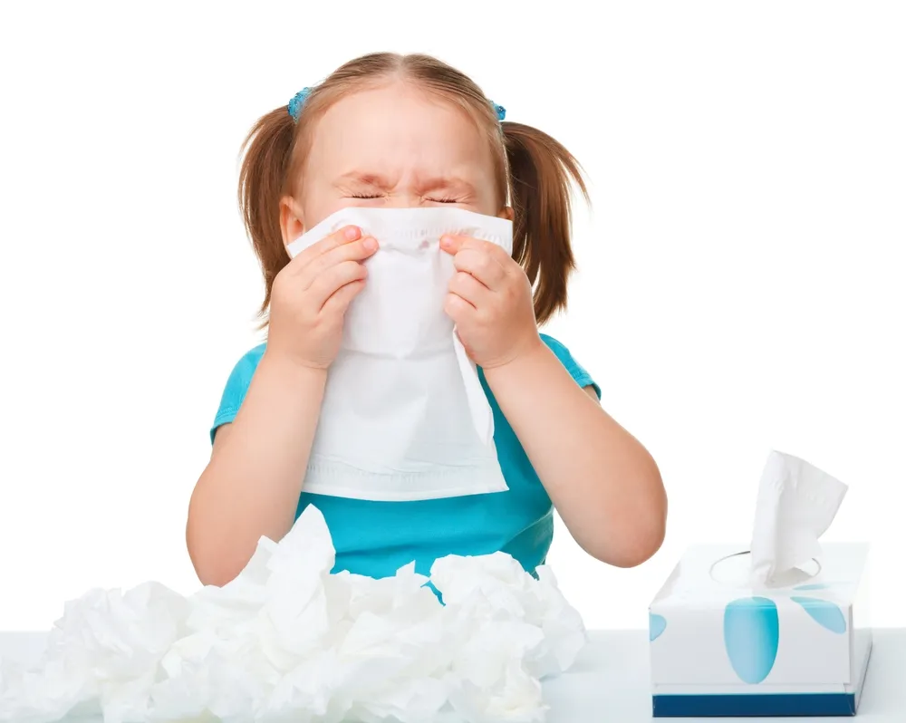 Differentiating a Cold From Fall Allergies