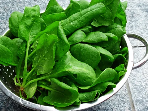 Spinach