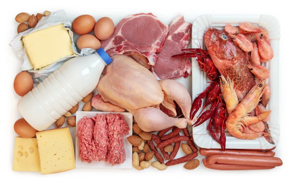 Eat A High Protein Diet To Lose Weight
