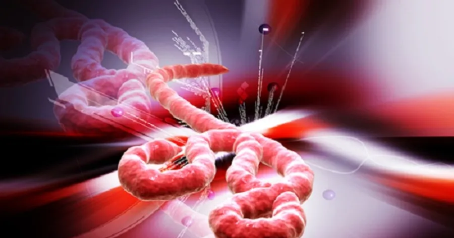 Experts Concerned About Growing Hysteria Surrounding Ebola