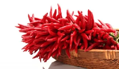 Hot peppers