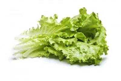 Lettuce