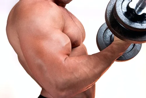 Les 13 Meilleurs Programmes d’Entrainement pour vous Muscler