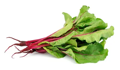 Swiss Chard