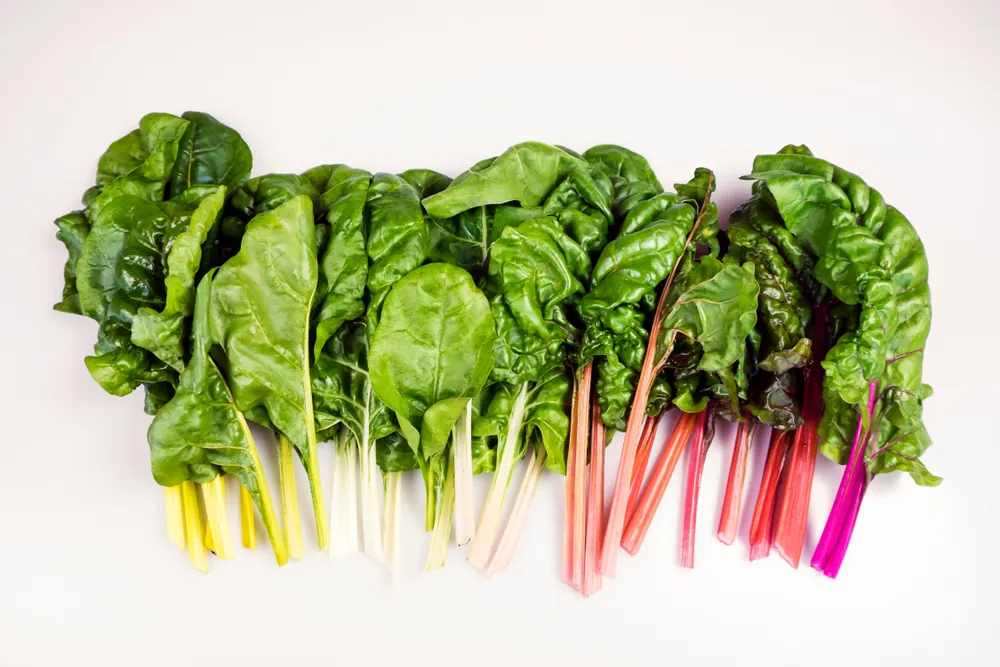 The Incredible Health Benefits of Swiss Chard