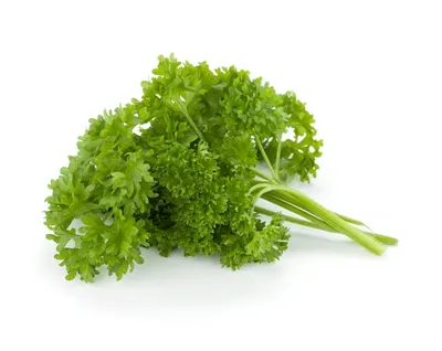 parsley