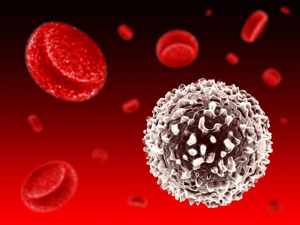 10 Fakten über weiße Blutkörperchen