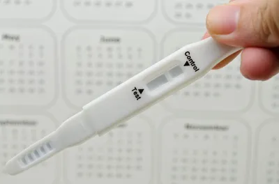 fertility calendar