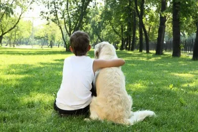 dog 10