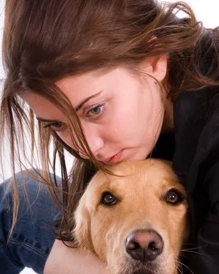 dog 9