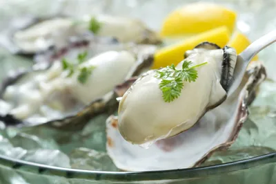 oysters