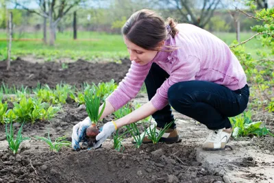 gardening