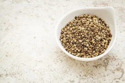 hemp