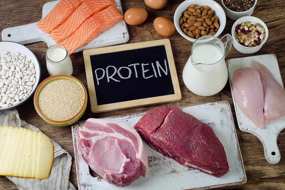 Benefits of a High Protein Diet