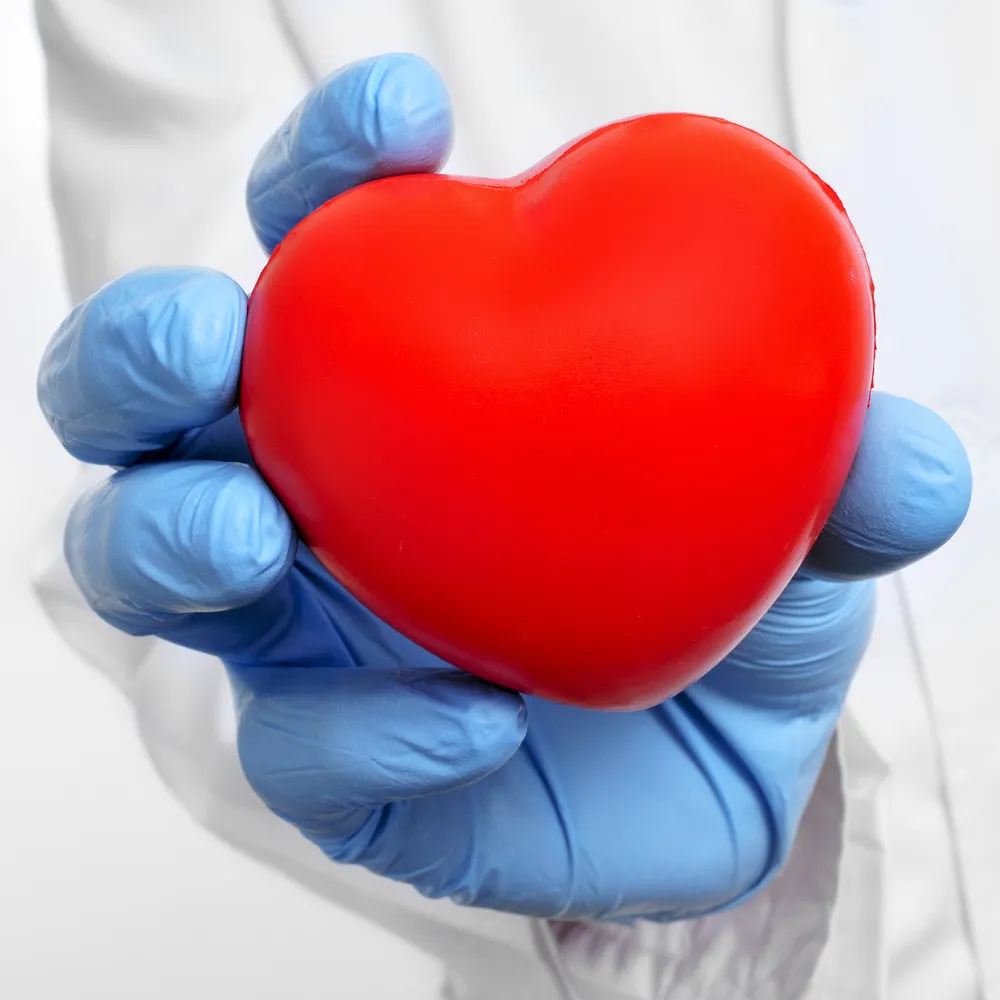 Newly Discovered Gene Could Help Doctors Fight Heart Disease