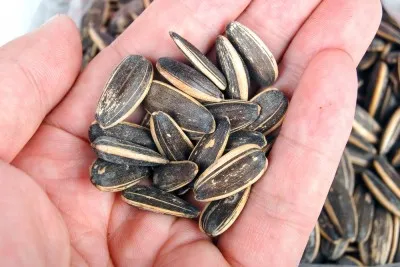 Sunflower seeds