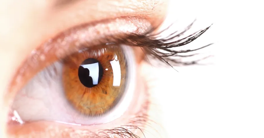 Doce causas de la conjuntivitis y demás molestias oculares comunes