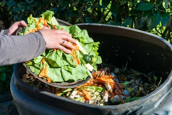 Einfache Schritte zur Kompostierung