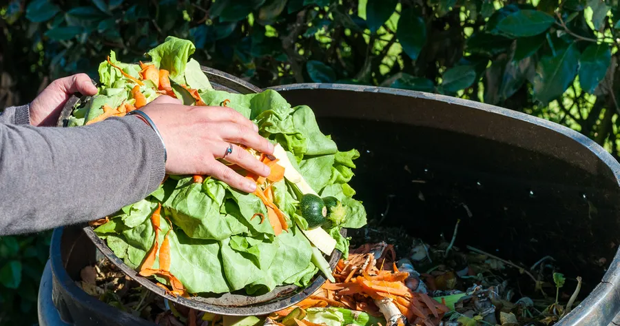 Easy Steps to Composting