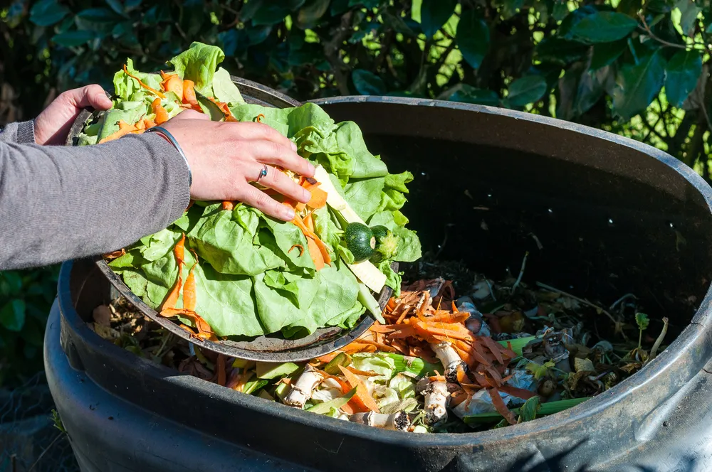 Easy Steps to Composting