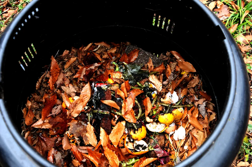 8 einfache Schritte zum Kompost-Profi