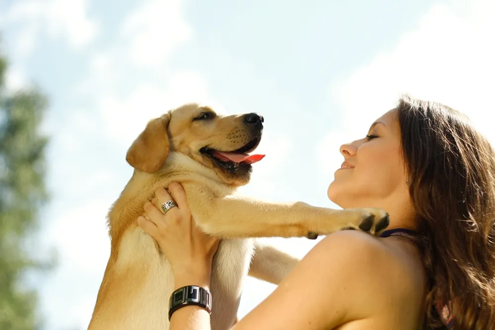 6 gesundheitliche Gründe, sich ein Haustier anzuschaffen