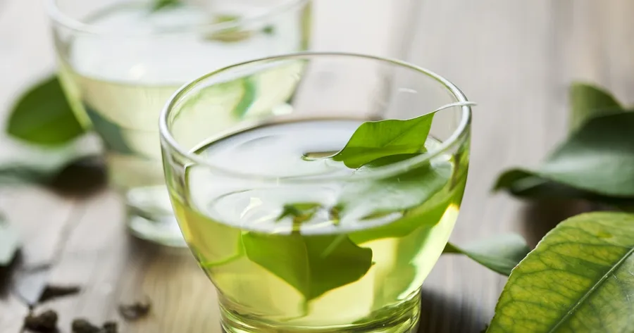Green Tea Can Help Fight Pancreatic Cancer, Study Shows