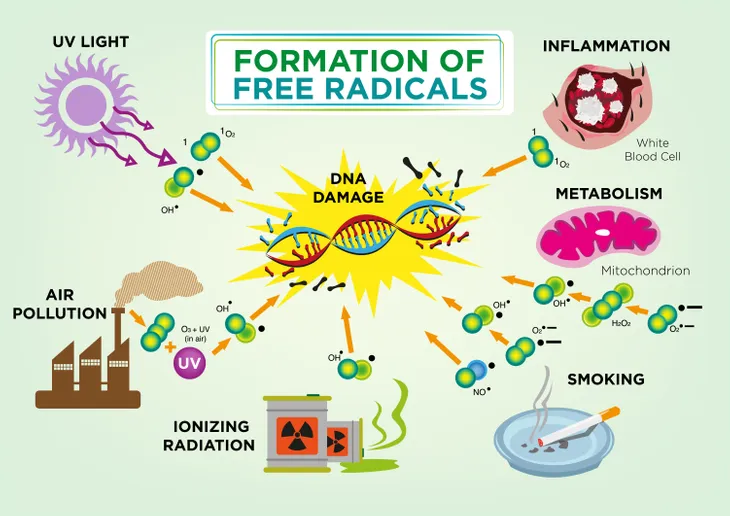 Antioxidants, Free Full-Text