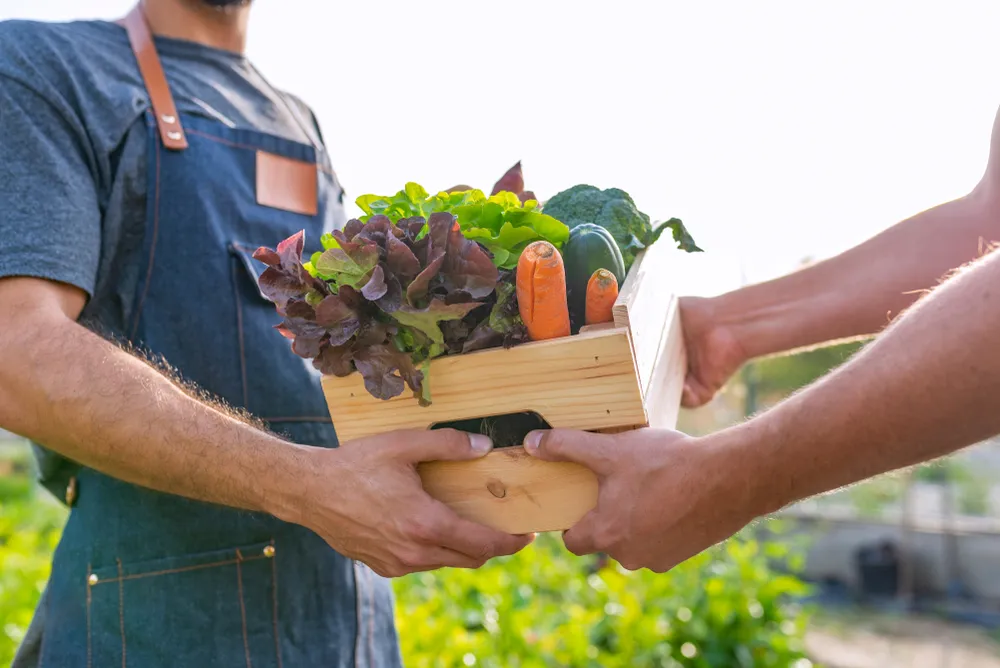 Healthy Reasons to Support Your Local Farmers’ Market