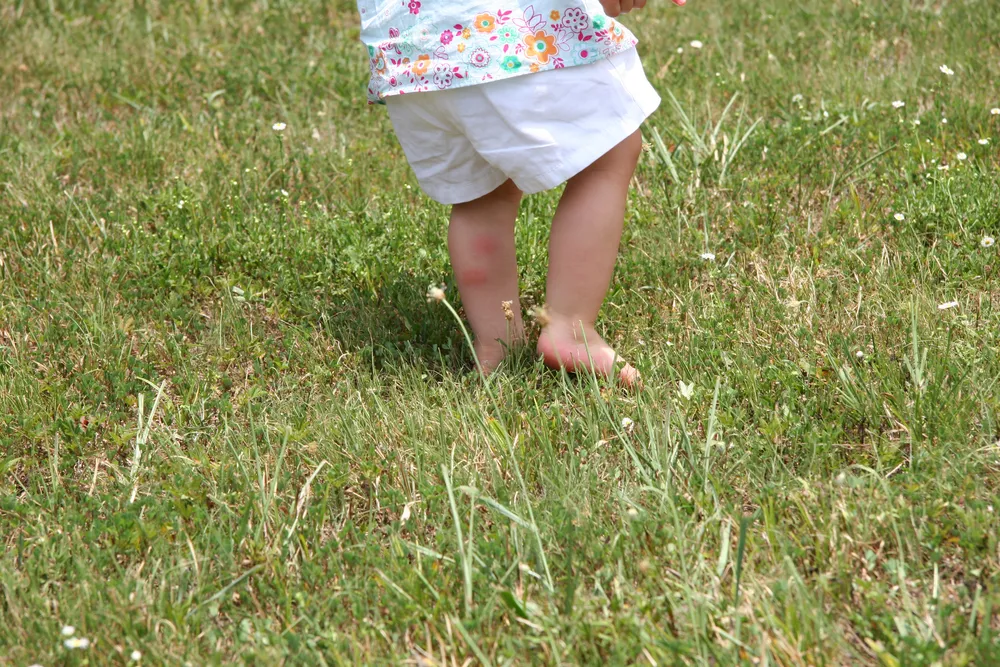 Siete datos sobre el desarrollo de los niños que quizás no conocía