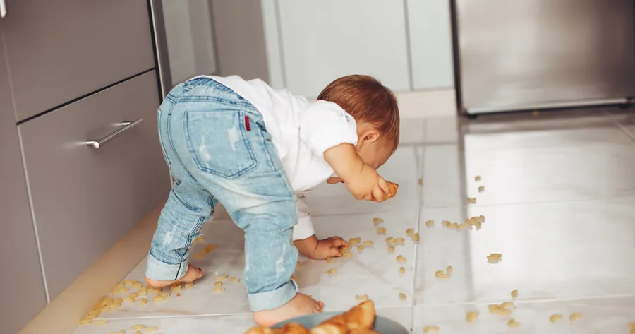 Dropped Food and the 5-Second Rule