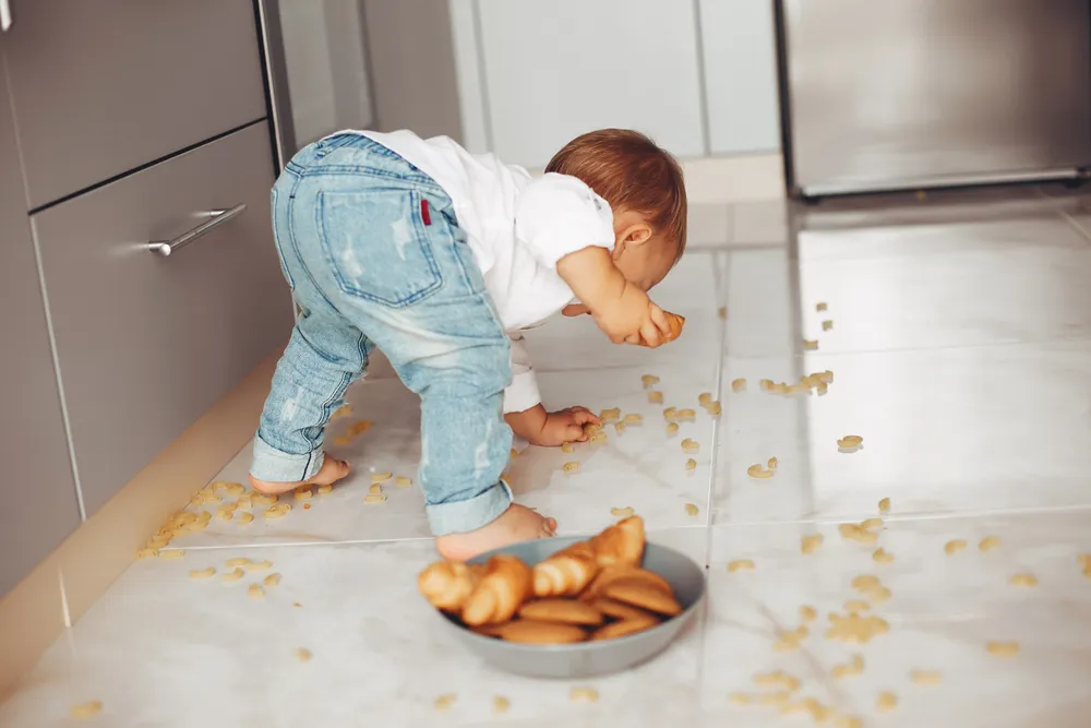 Dropped Food and the 5-Second Rule