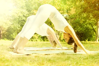 Im Kreuzberger Altbaucharme im Yellow Yoga in den herabschauenden Hund  gehen