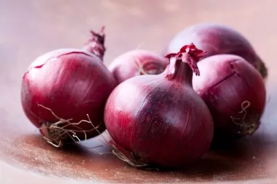 shutterstock_70873888