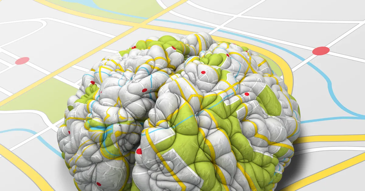 Nobel Prize Awarded to Scientists Who Discovered Brain "GPS System