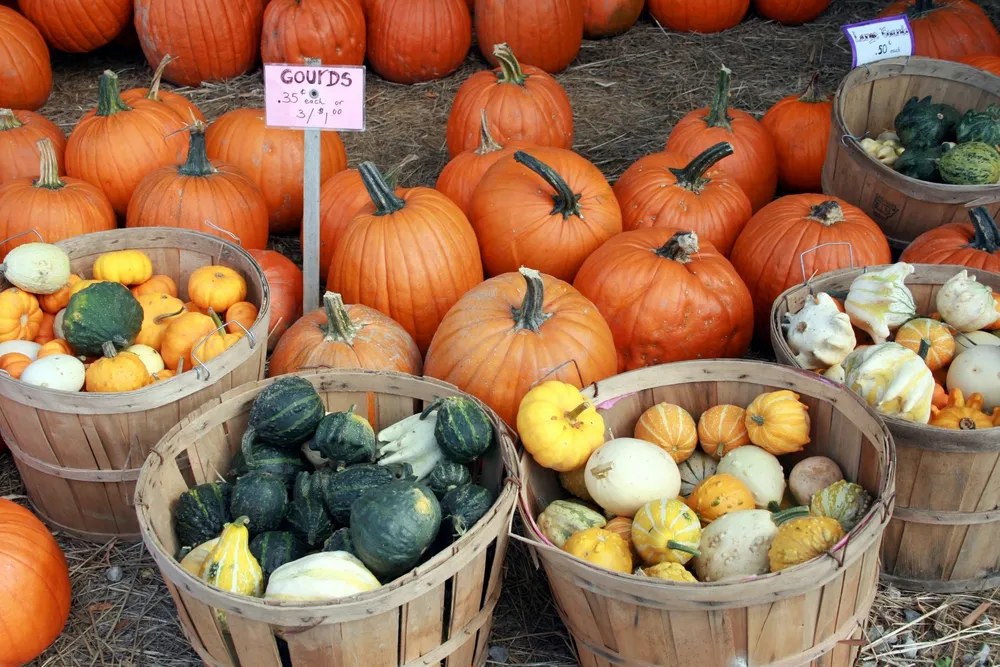 8 Modi per Ricaricarsi in Autunno