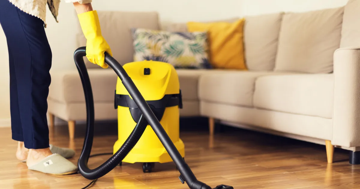 Sleep Tight, Don't Let the Bed Bugs Bite! ActiveBeat Your Daily