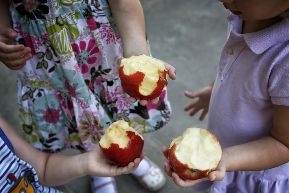 Department of Agriculture Approves Non-Browning Apples