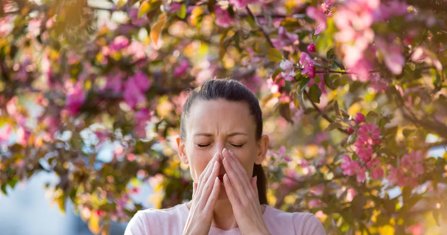 Common Spring Allergy Triggers