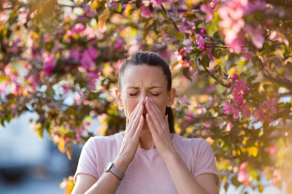 Common Spring Allergy Triggers