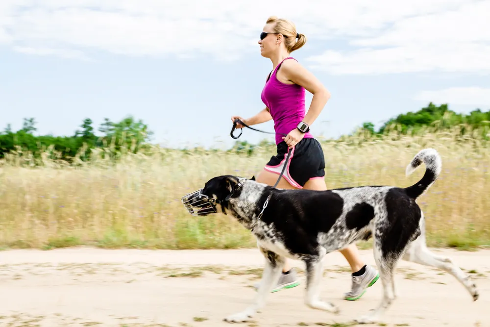 Siete maneras de ejercitarse con su perro en verano