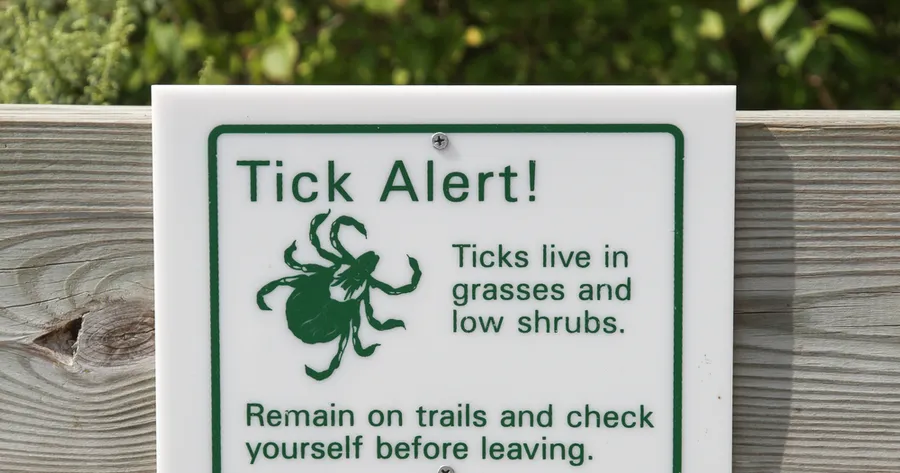Tick Off! Lyme Disease Protection Tips