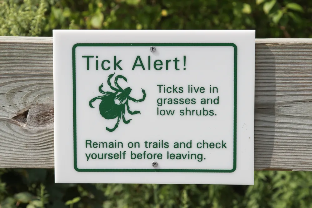 Tick Off! Lyme Disease Protection Tips