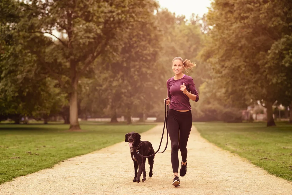 Ways To Get Exercise With Your Dog